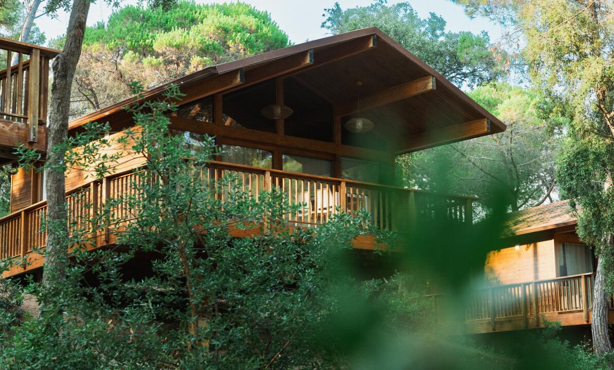 hundezaun camping gebraucht Hundezaun- Zaun fr viele Anwendungen  Schutznetze.com