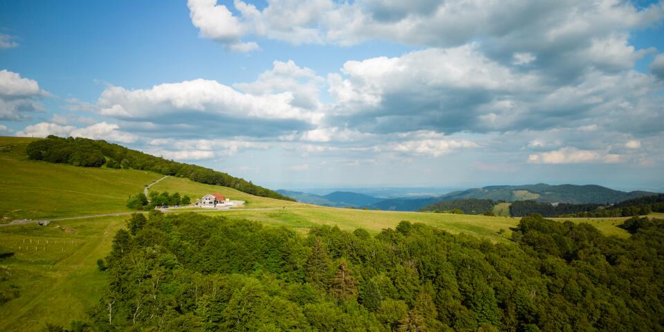Wanderweg inmitten einer Naturlandschaft in den Vogesen