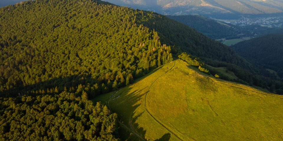 Person, die einen Panoramablick auf die Berge der Vogesen genießt