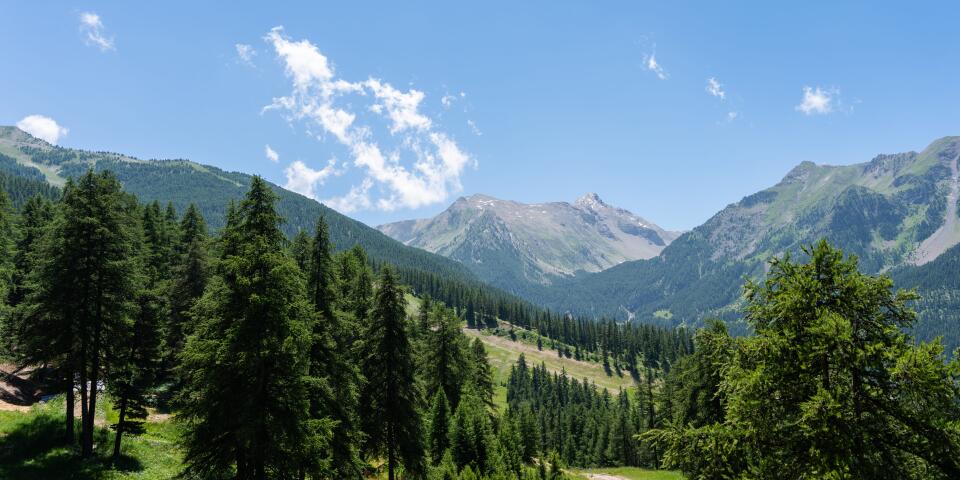 Naturlandschaft rund um einen Campingplatz auf dem Land