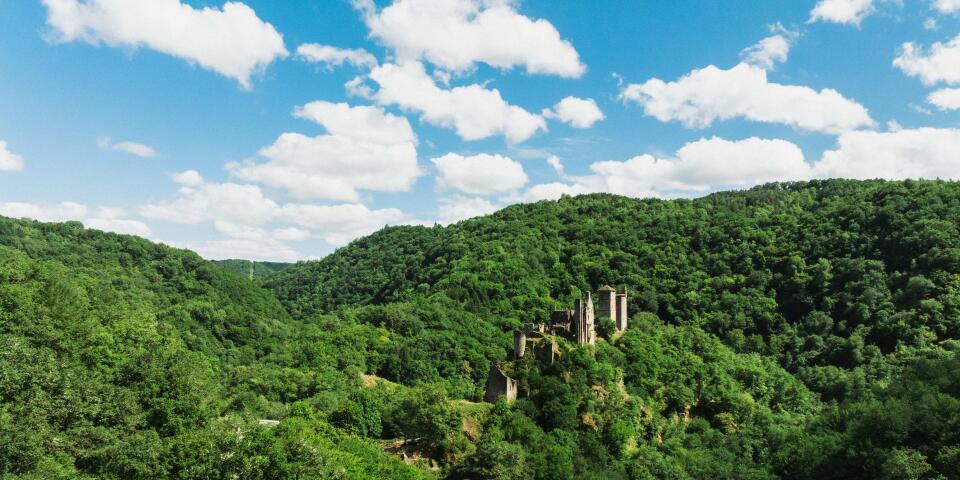 Sunêlia