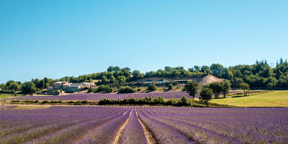  Sunêlia