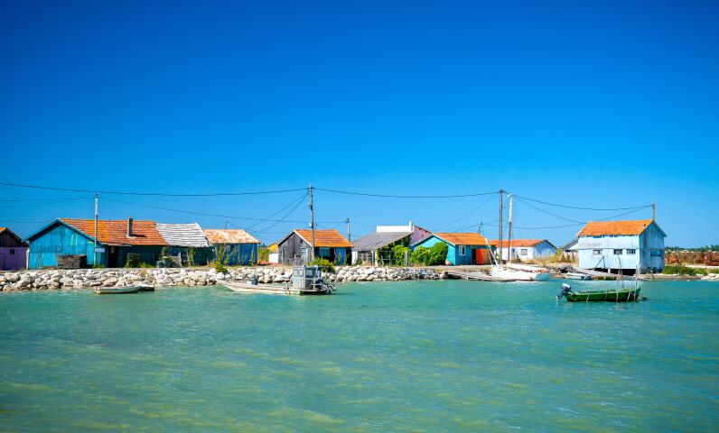  Sunêlia