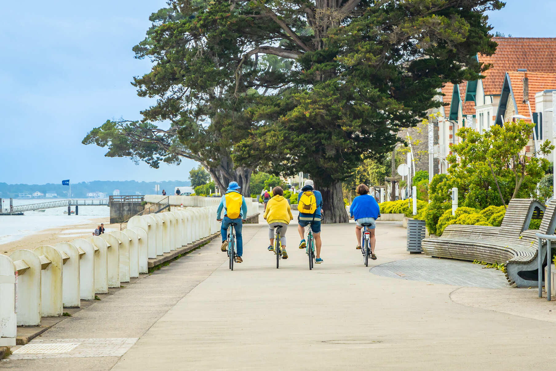 Cyclists on a cycle path on the Ile d'Oléron