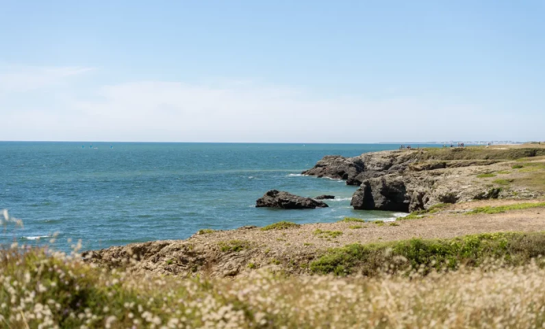 Natural landscape around Les Sables-d'Olonne