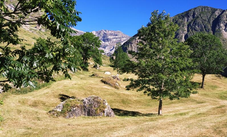 Mountain pastures with views of the relief