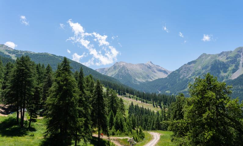 Natural landscape around a campground in the countryside