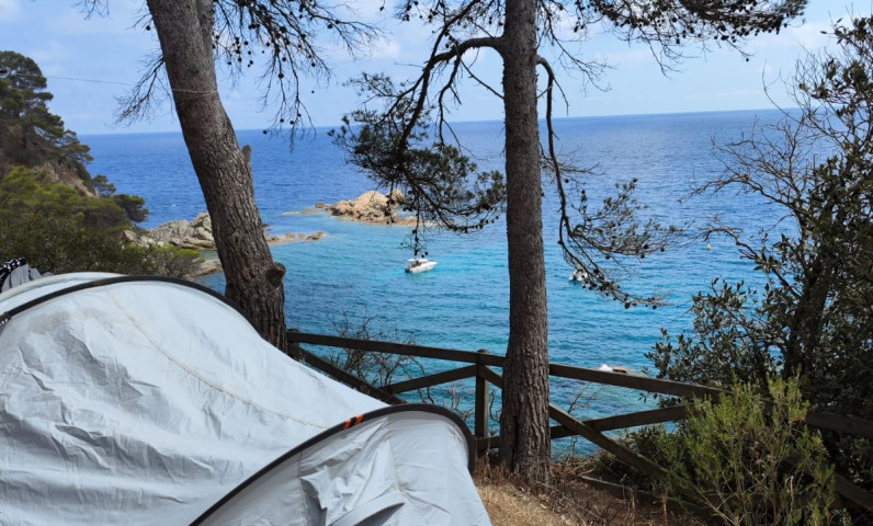 Carpa gris con vista