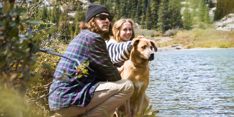 Camping Sunêlia que admite perros, certificado por Qualidog.