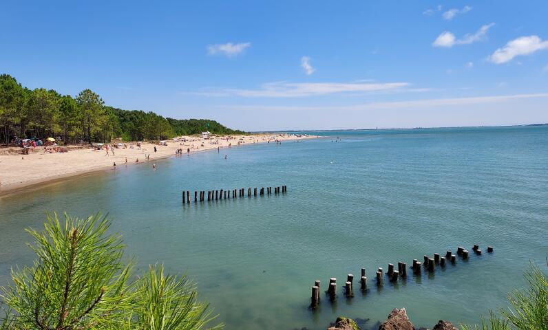 El paisaje natural del sur de la isla de Oléron entre playa, dunas y pinar