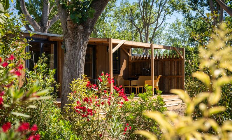 Alojamientos espaciados en un entorno verde en el camping