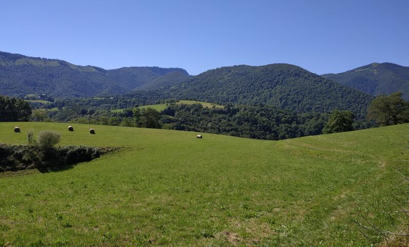 Valle verde en los Altos Pirineos en primavera bajo un cielo despejado