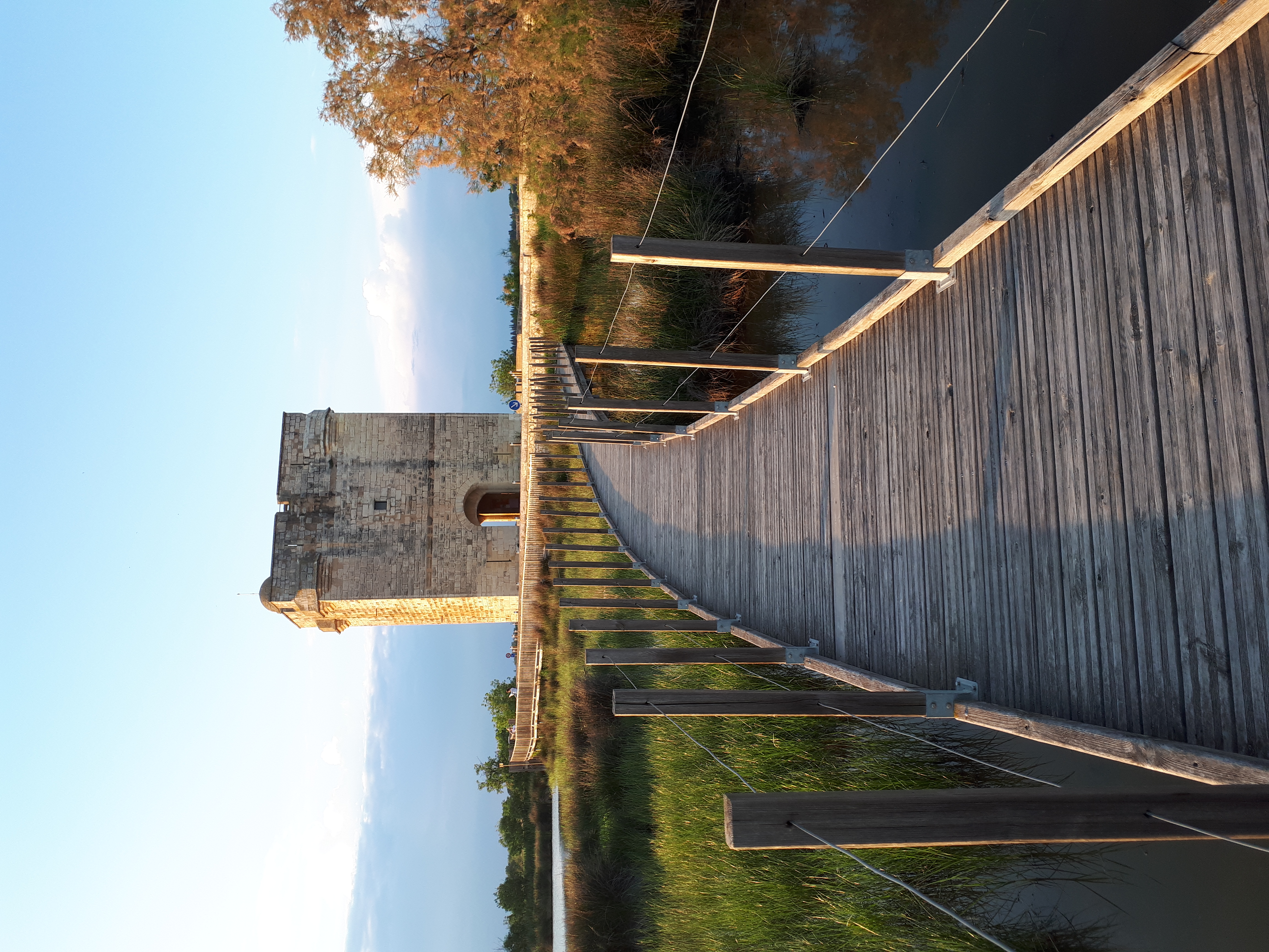 Tour Carbonnière Aigues-mortes.jpg