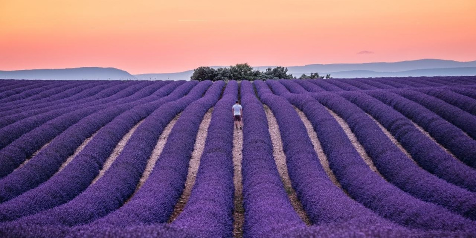 Camping Provence - 1bis.jpg