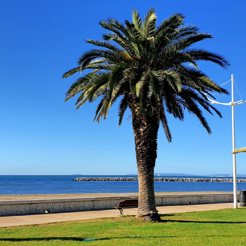 Sunêlia les Jardins de Tivoli - diaporama 3.jpg