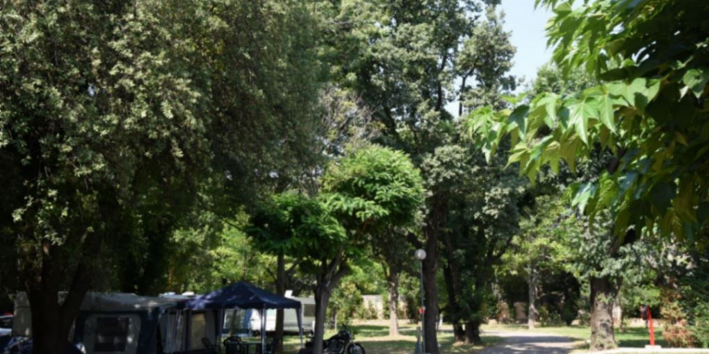 pict_11_1.jpg