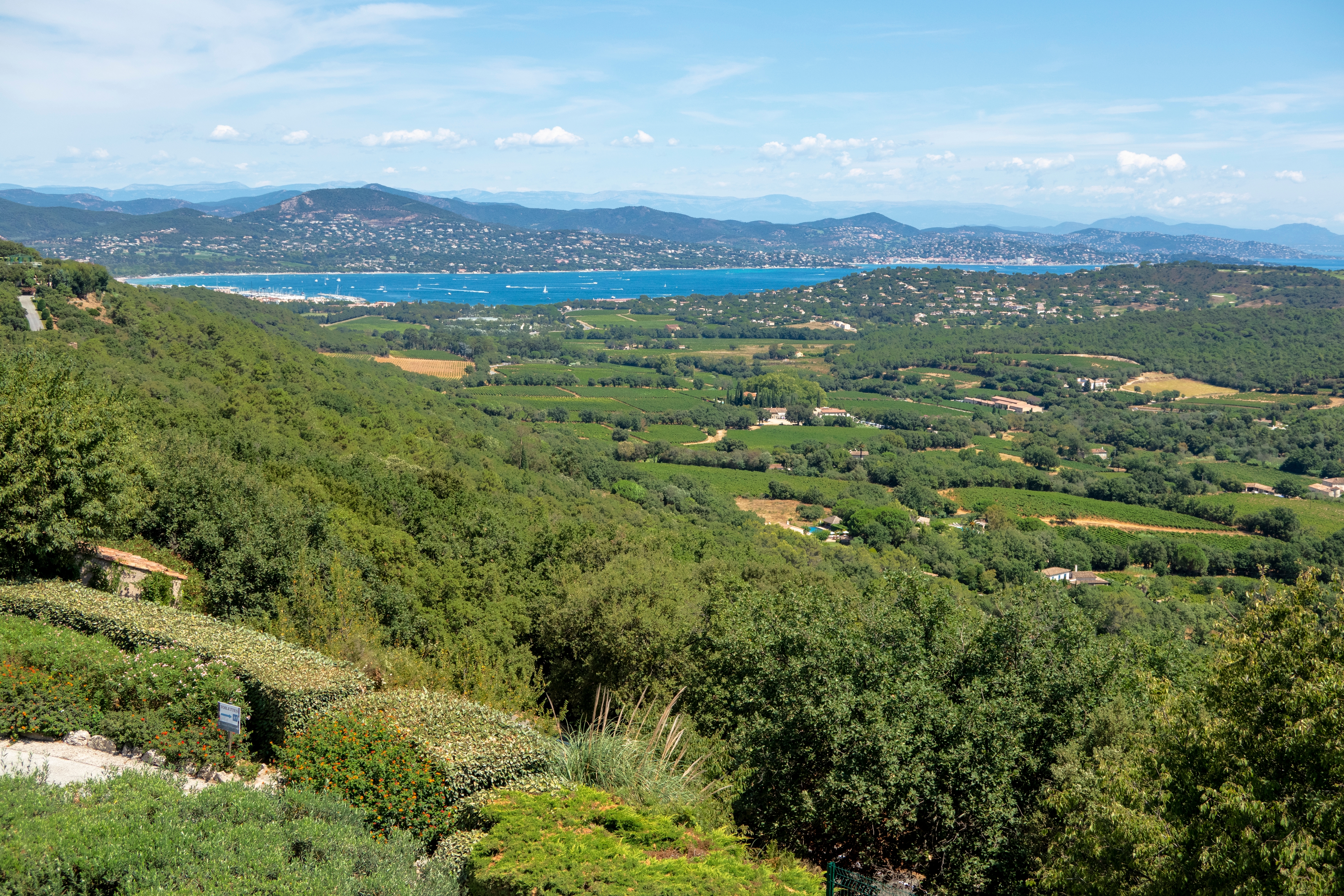 Domaine de verdagne (1).jpg
