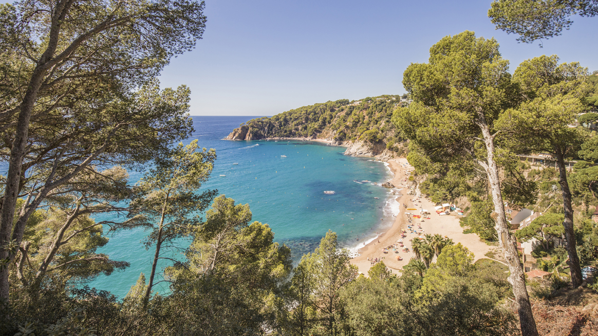 2024_Sunelia_©Cala_Llevado_17.jpg