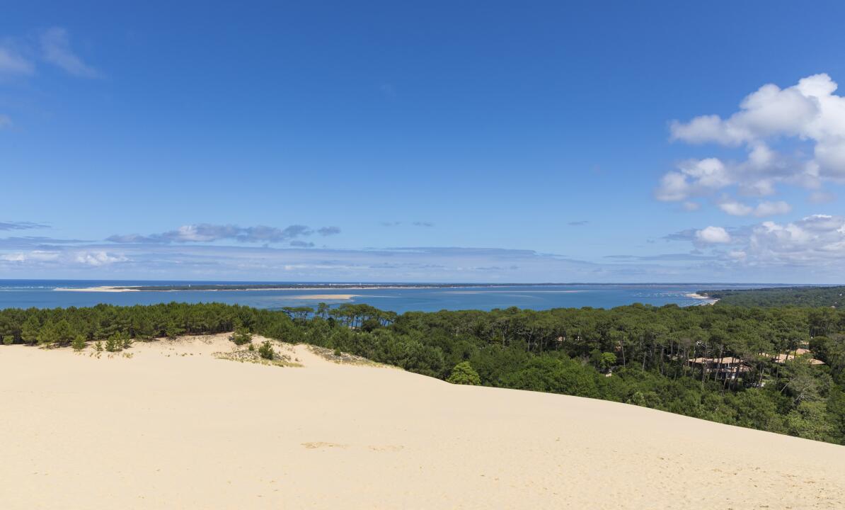 Activité bassin Arcachon : 8 idées pour une journée parfaite sur