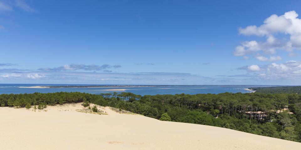 Sunêlia