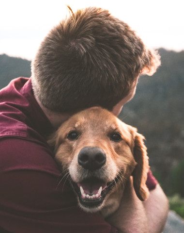 sunêlia camping avec chien labélisé qualidog