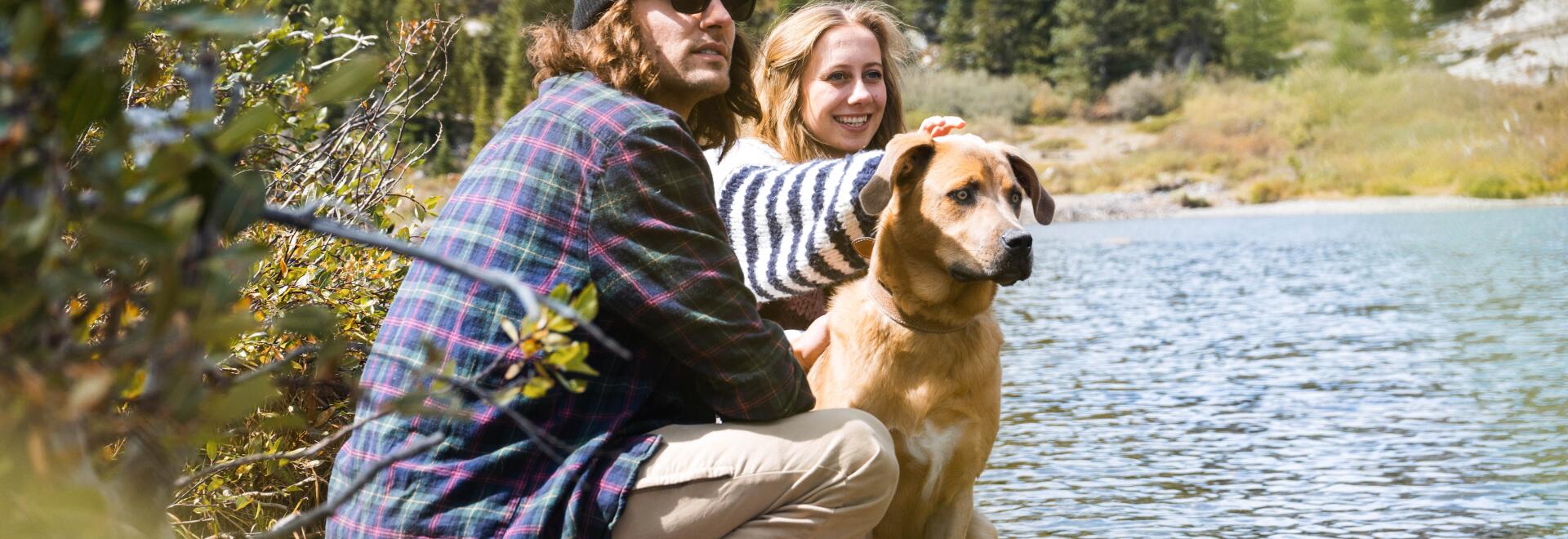 sunêlia camping avec chien labélisé qualidog