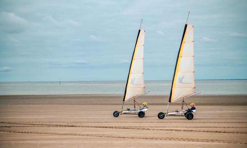 Sunêlia