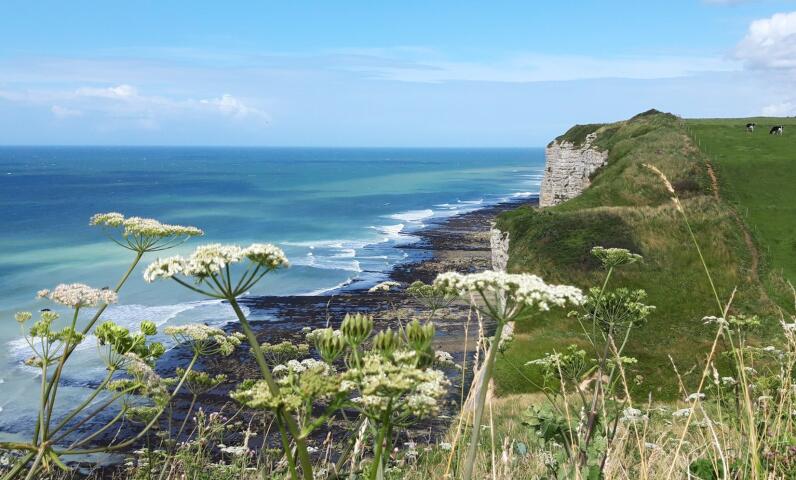 balade à Etretat en bord de mer