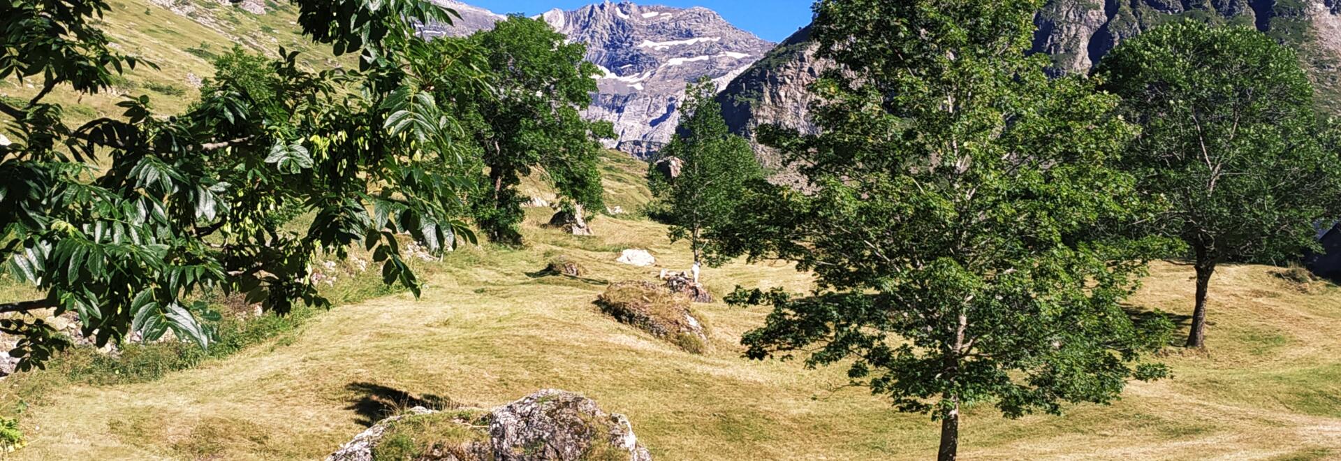 Pâturages de montagne avec vue sur les reliefs