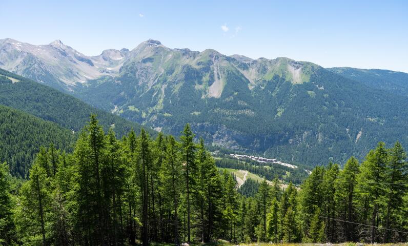 Montagnes verdoyantes sous la lumière d’été