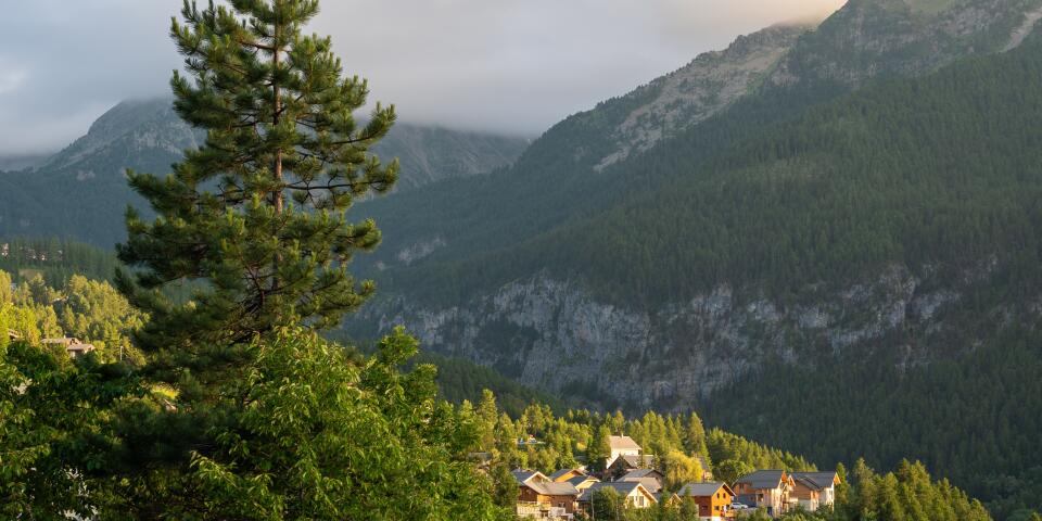 Vue sur un paysage de montagne en été