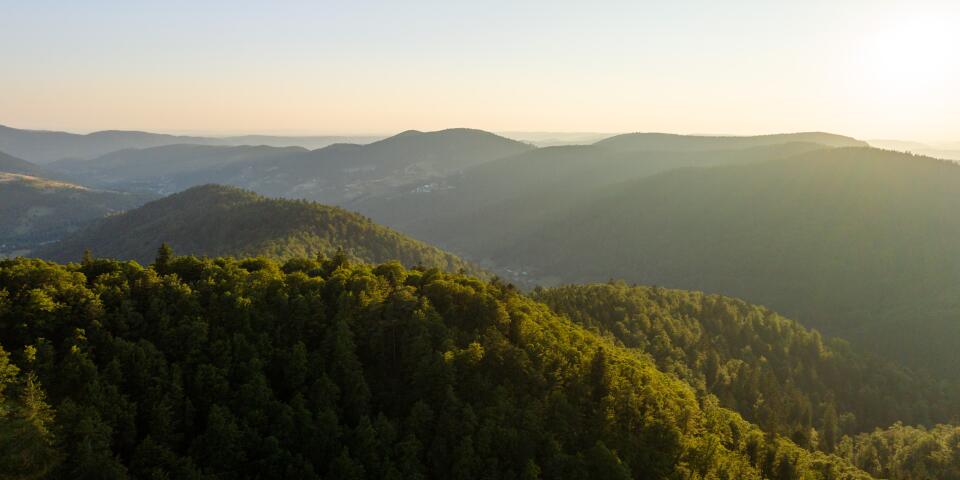 Sentiero forestale nel parco naturale dei Ballons des Vosges