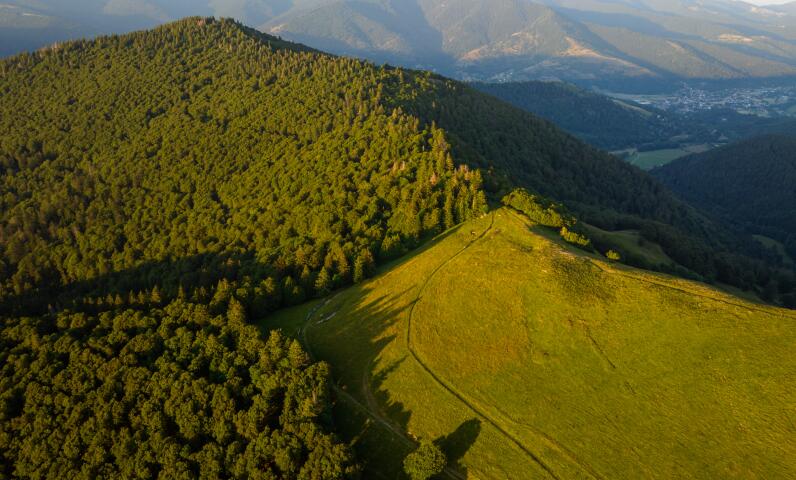 Famiglia a passeggio su un sentiero forestale vicino al campeggio Bussang