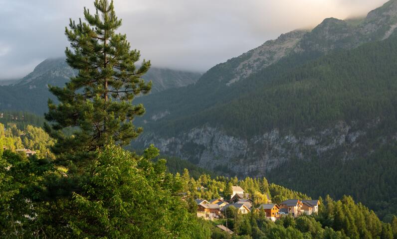 Vista su un paesaggio montano in estate