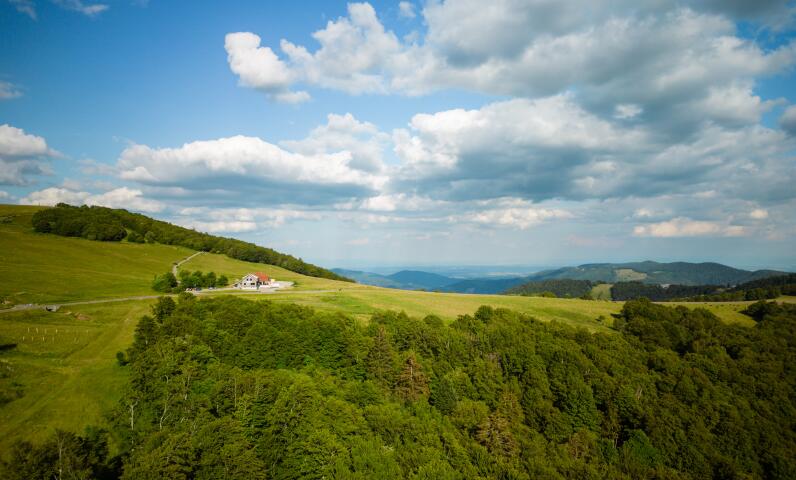Wandelpad in het hart van een natuurlijk Vogezenlandschap