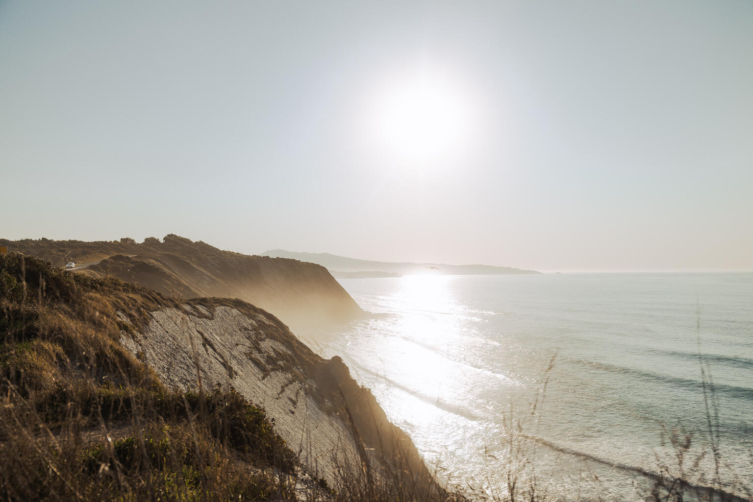  Sunêlia